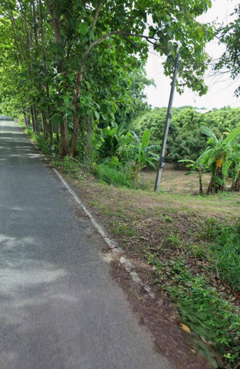 ที่ดินสวนลำไย ใกล้เมืองเชียงใหม่ เพียง 20 กม. (ราคา 1.7 ล้านบาท/ไร่) รายละเอียดท