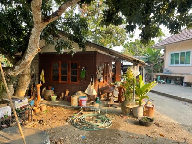 สันกลาง พาน เชียงราย