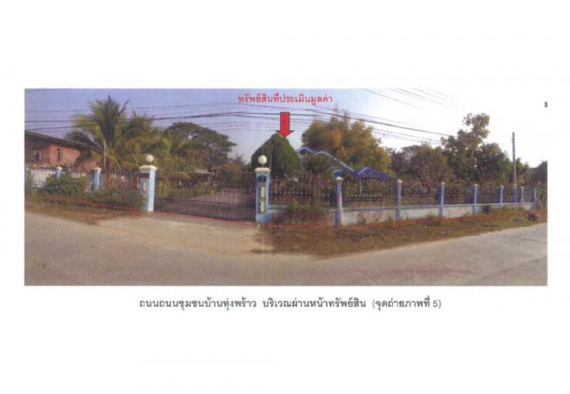 ม่วงคำ พาน เชียงราย