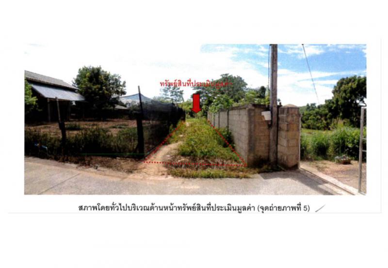 ห้วยซ้อ เชียงของ เชียงราย