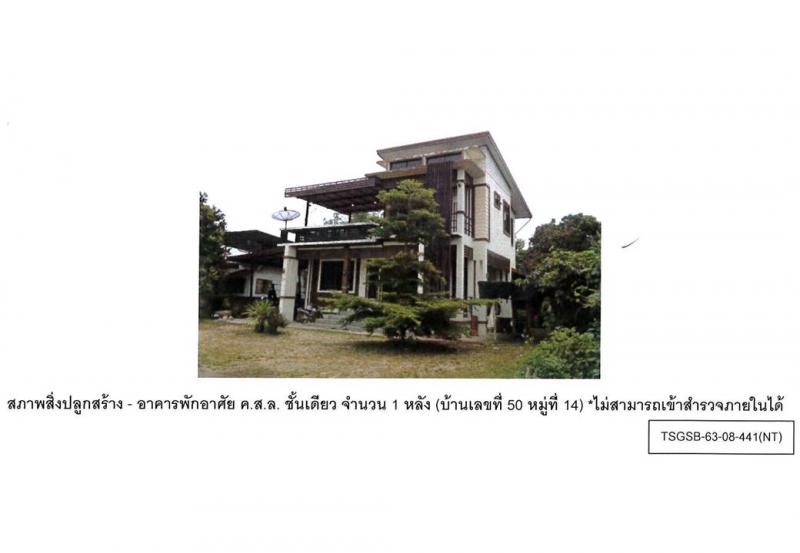 ป่าแดด แม่สรวย เชียงราย