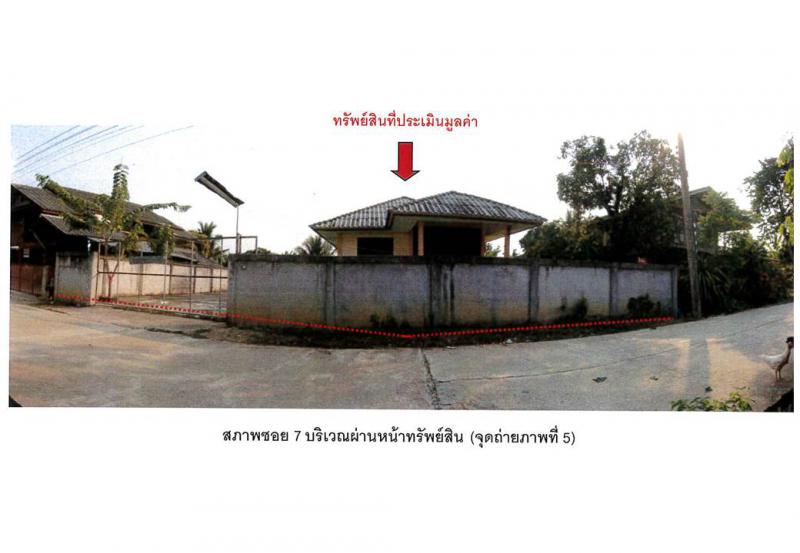 ไม้ยา พญาเม็งราย เชียงราย