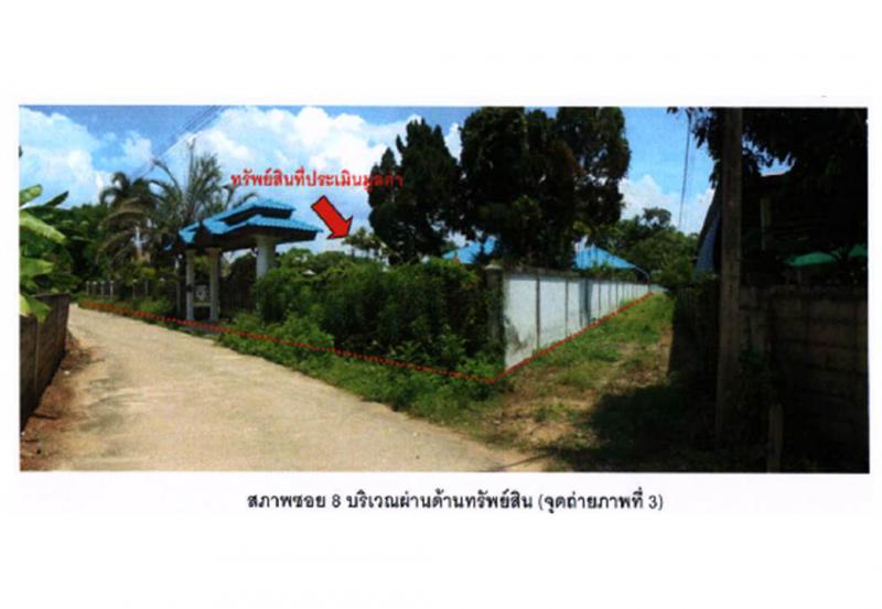 จอมหมอกแก้ว แม่ลาว เชียงราย