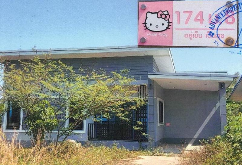 ป่าแดด ป่าแดด เชียงราย
