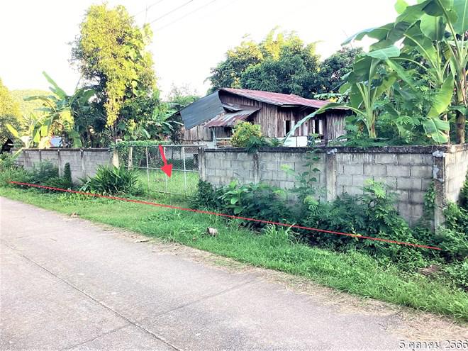 สันทราย แม่จัน เชียงราย