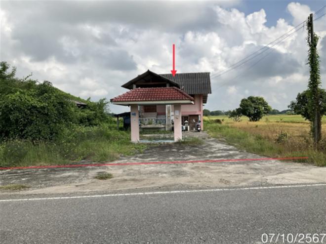 ทานตะวัน พาน เชียงราย