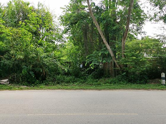 บ้านดู่ เมืองเชียงราย เชียงราย